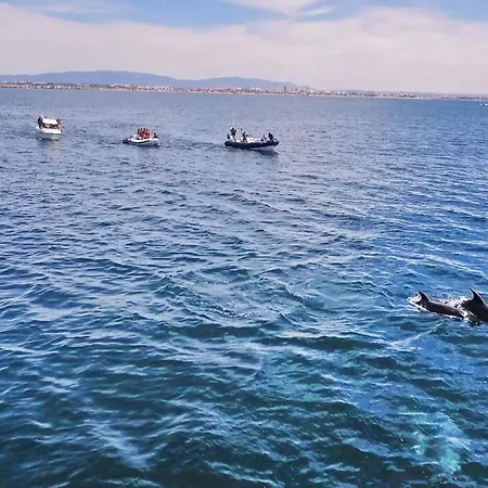 Ferienhaus Alice By Algarve Vacation *